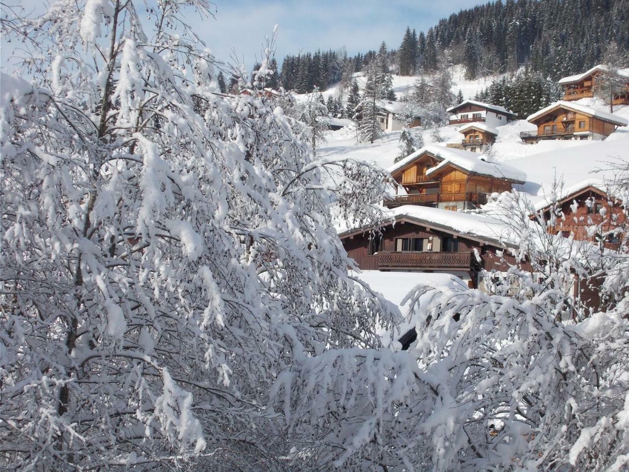 Chalet Jonquille Ле-Гет Экстерьер фото
